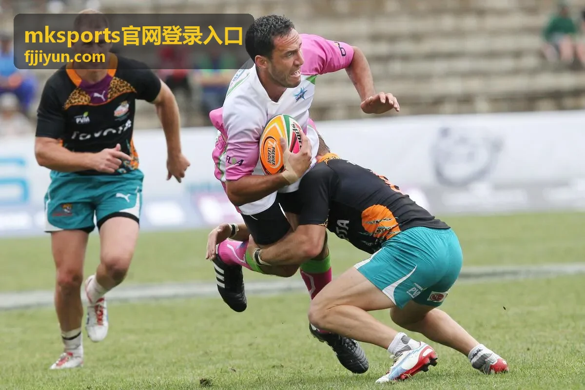 mksports官网登录入口验证方式与异常处理配图