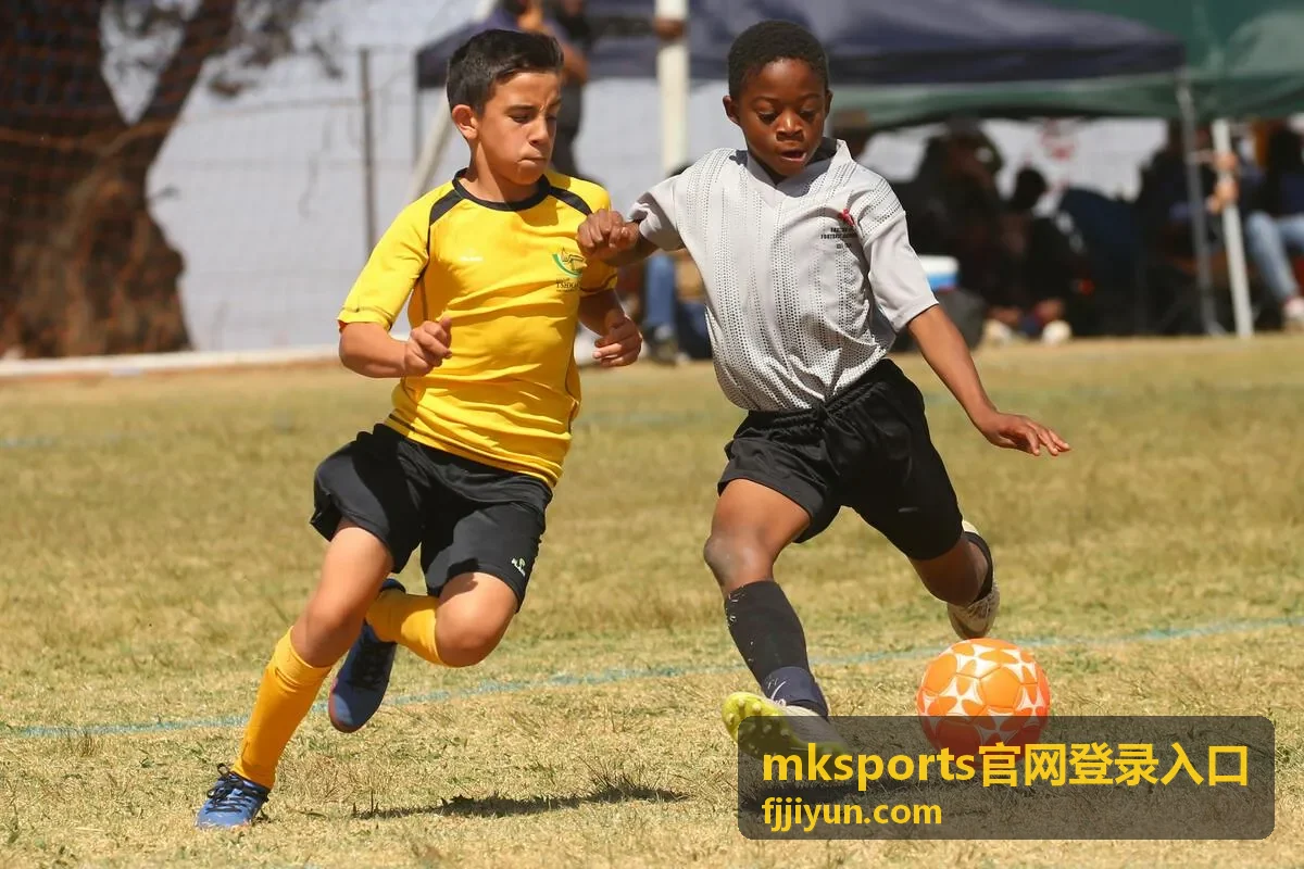 mksports官网登录入口通道核对步骤配图