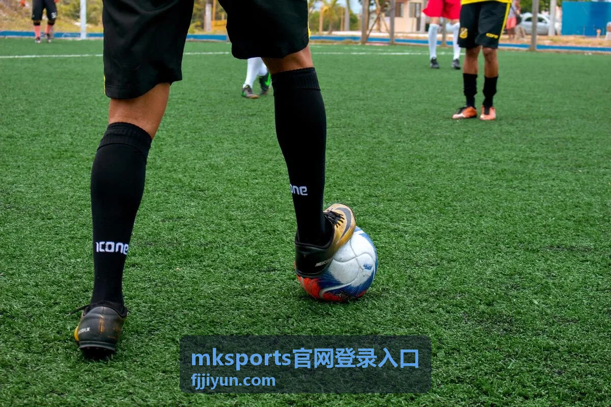 mksports官网登录入口移动端快捷通道卡片封面
